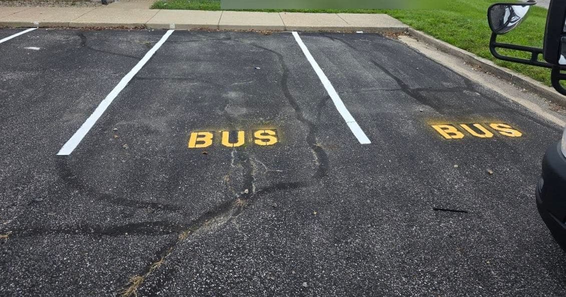Freshly painted white stall lines and yellow BUS stencils