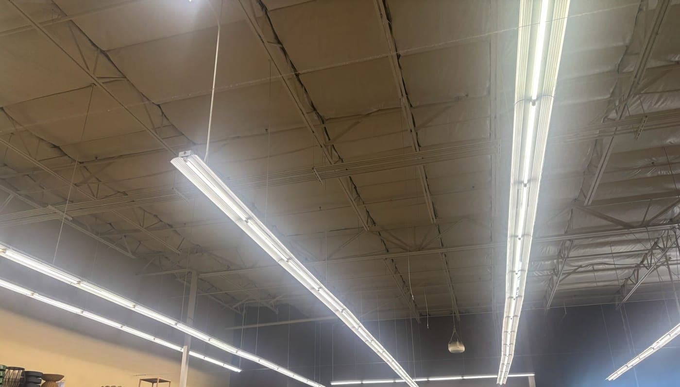 Rows of strip light fixtures all lit on the store ceiling