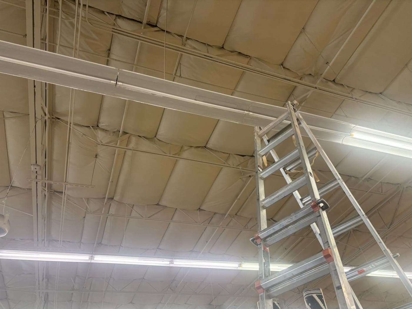 Dark strip light fixtures on a high store ceiling with a ladder below